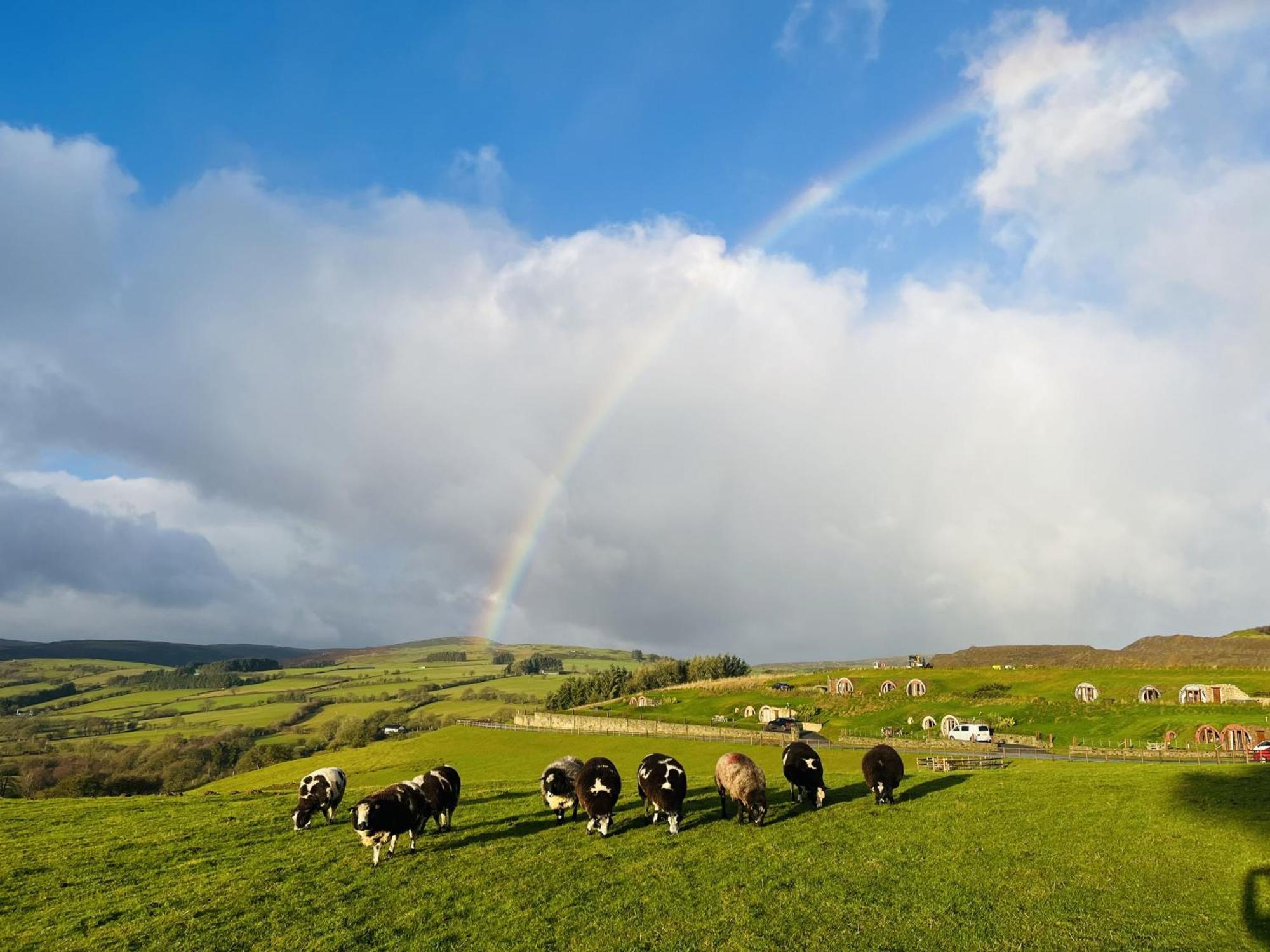 Shepherds View Rhayader Exterior foto